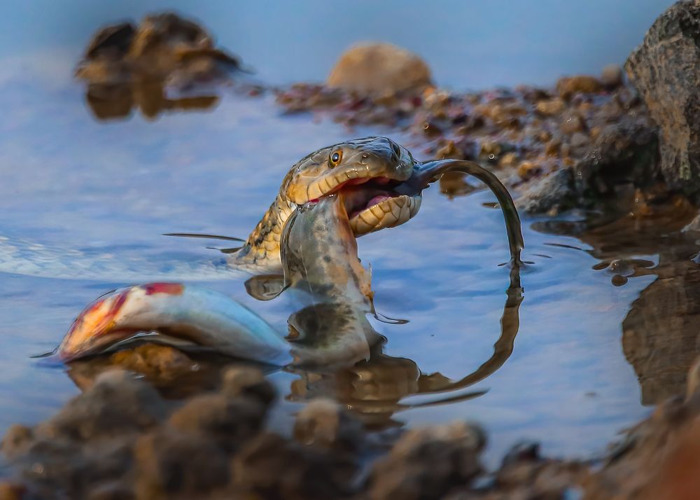 Photograph by Dhruv Shilpi