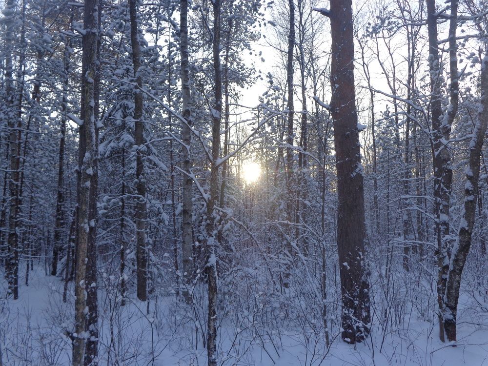 Photograph by Георгий Салюков