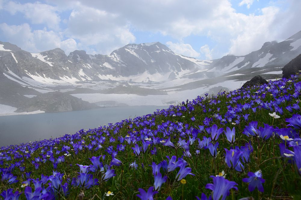 Photograph by Margo Margo