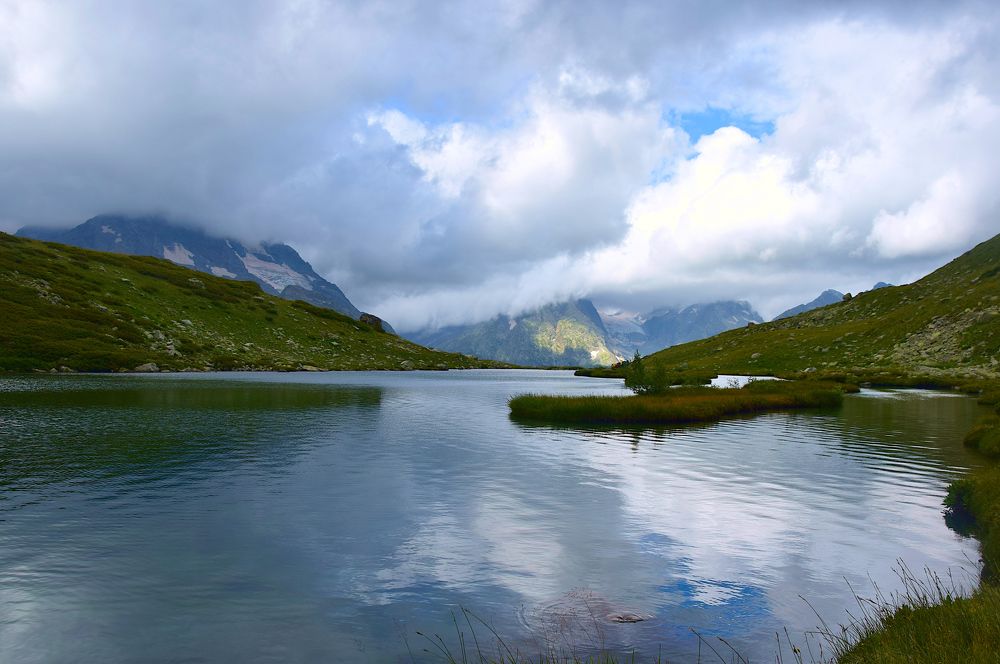 Photograph by Margo Margo