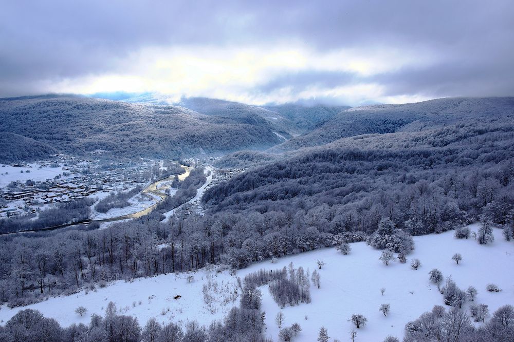 Photograph by Margo Margo