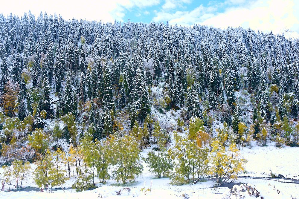 Photograph by Margo Margo