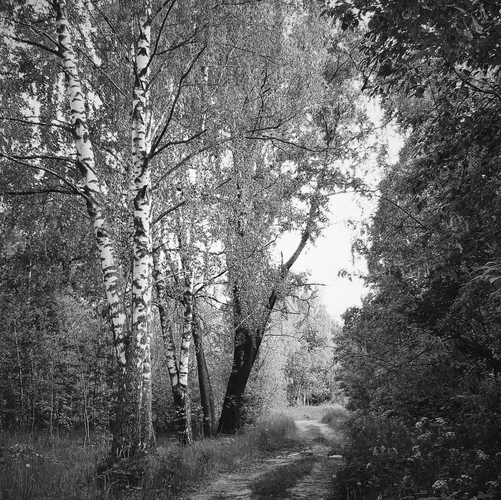 Photograph by Анна Печникова