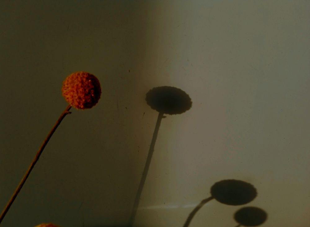 Photograph by Нина Мехнина