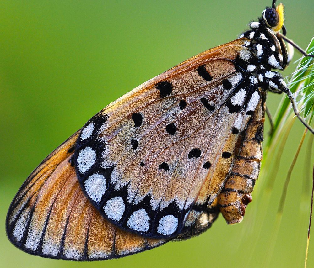 Photograph by Anupam More