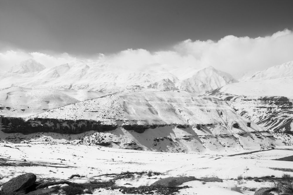 Photograph by Fatemeh Davari