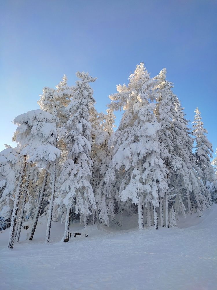 Photograph by Наталья Быкова