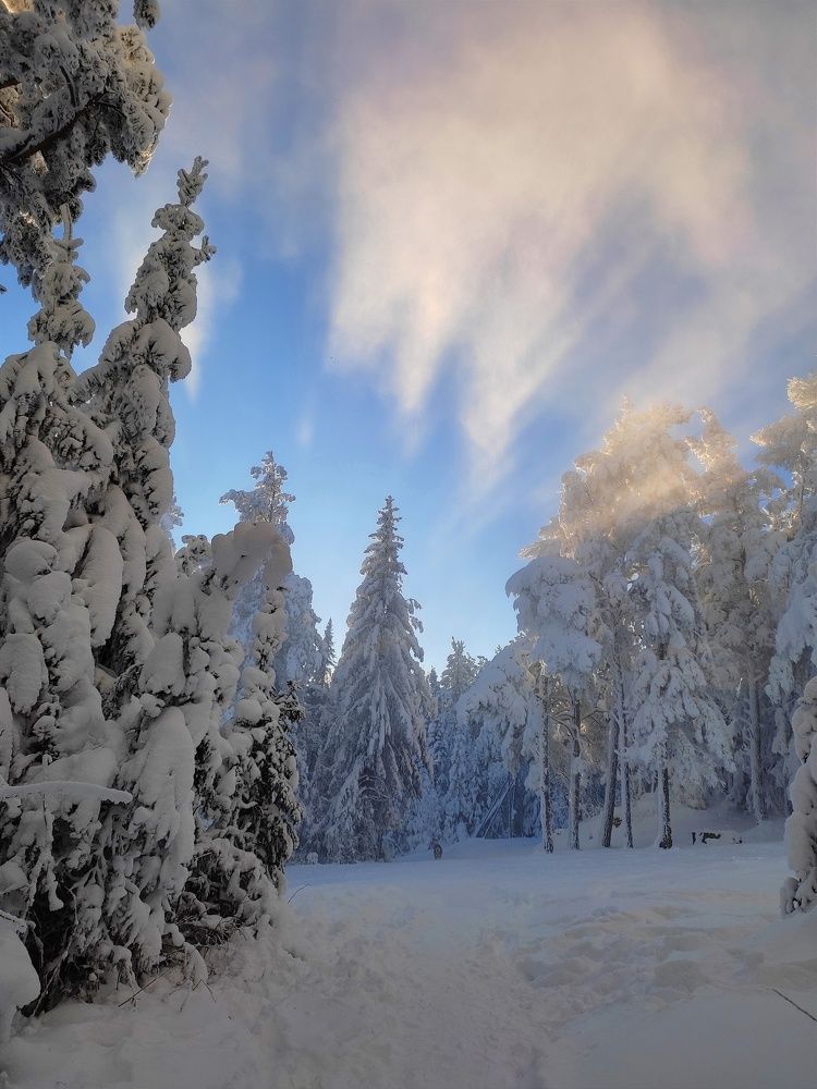 Photograph by Наталья Быкова