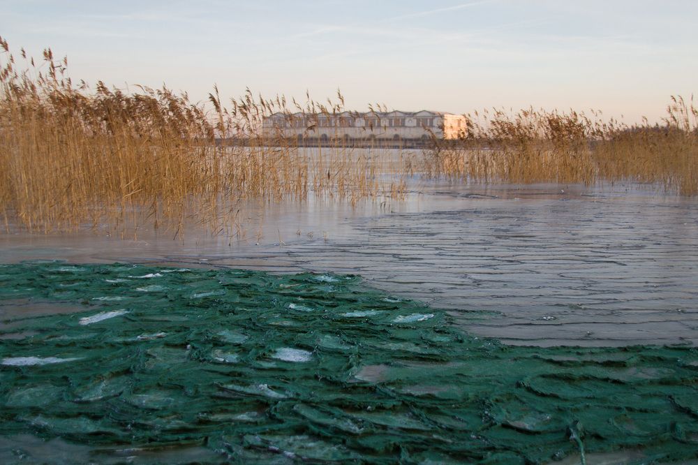 Photograph by Ксения Березкина