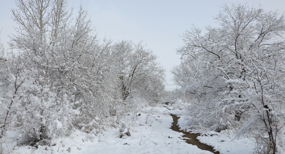 Снег в апреле.