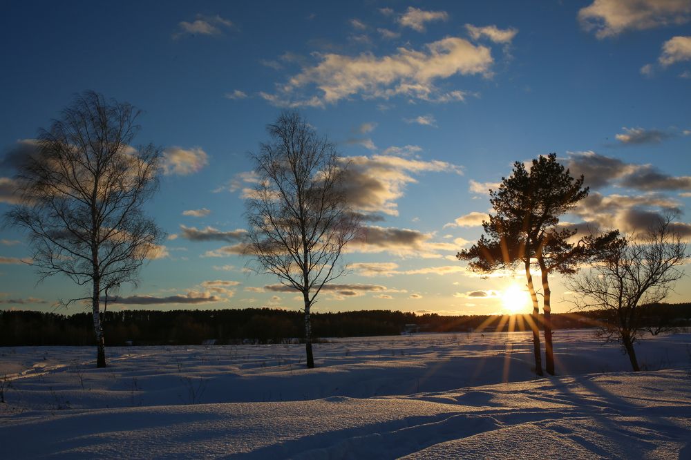 Photograph by Олеся Бакалина