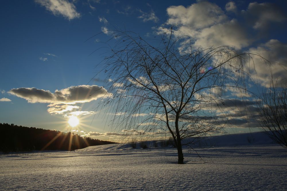 Photograph by Олеся Бакалина