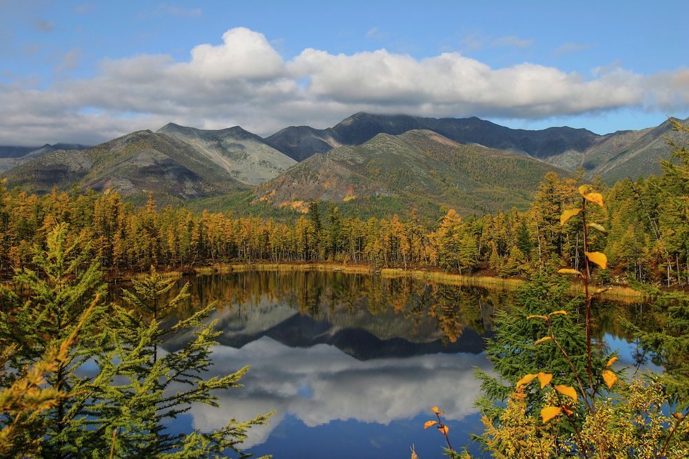 Photograph by Юрий Борик