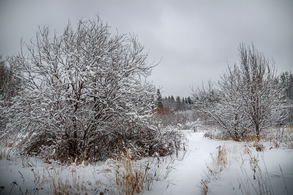 Photograph by Алексей Трифонов