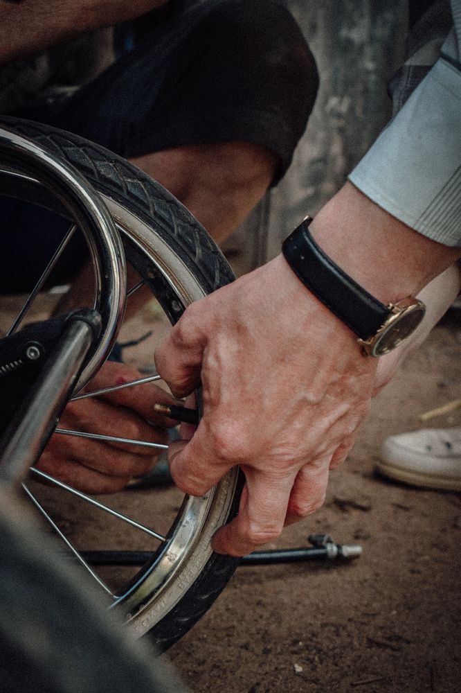 Фотография автора Ксения Вабищевич