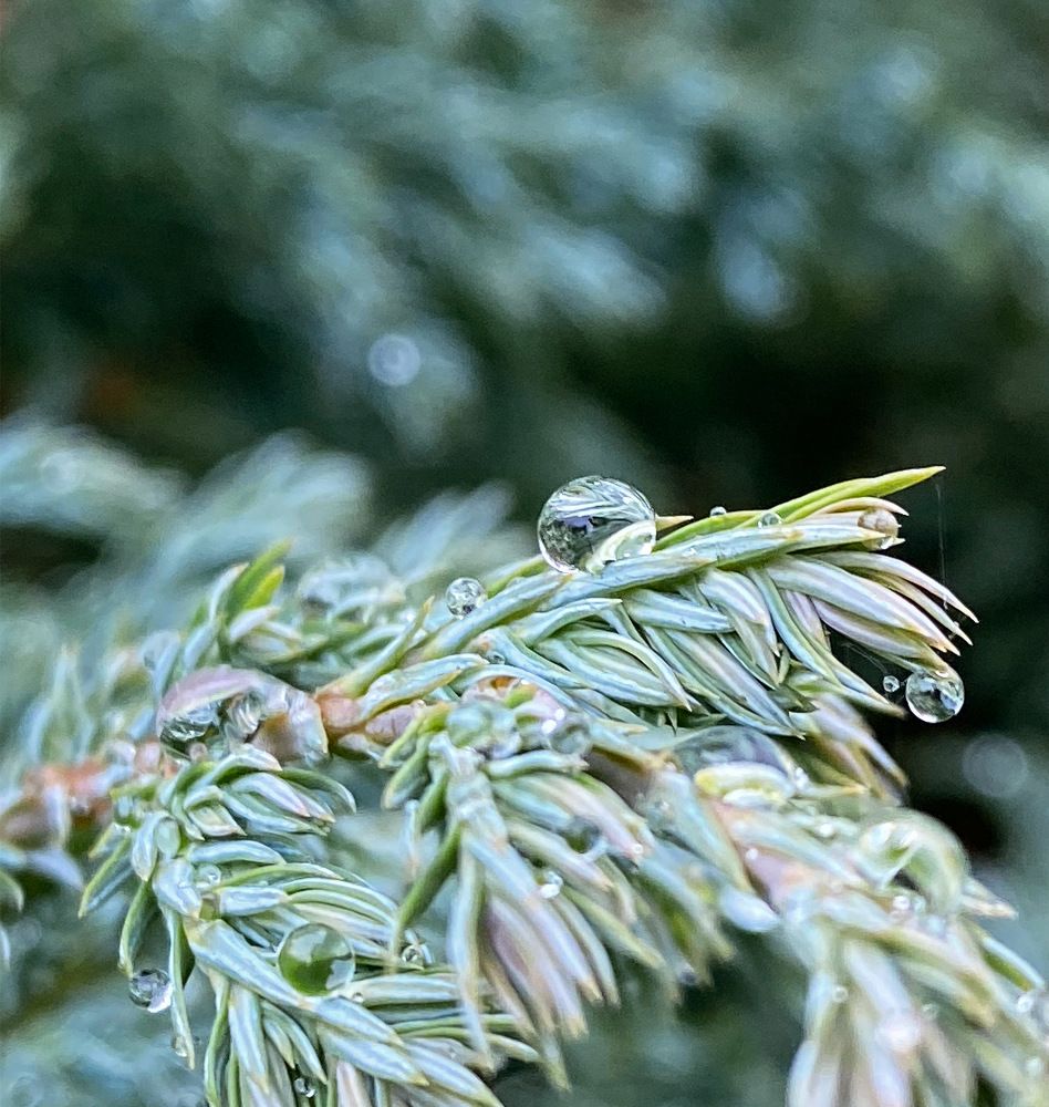 Photograph by Ольга Галкина