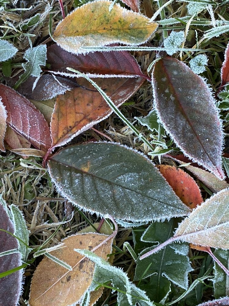 Photograph by Ольга Галкина