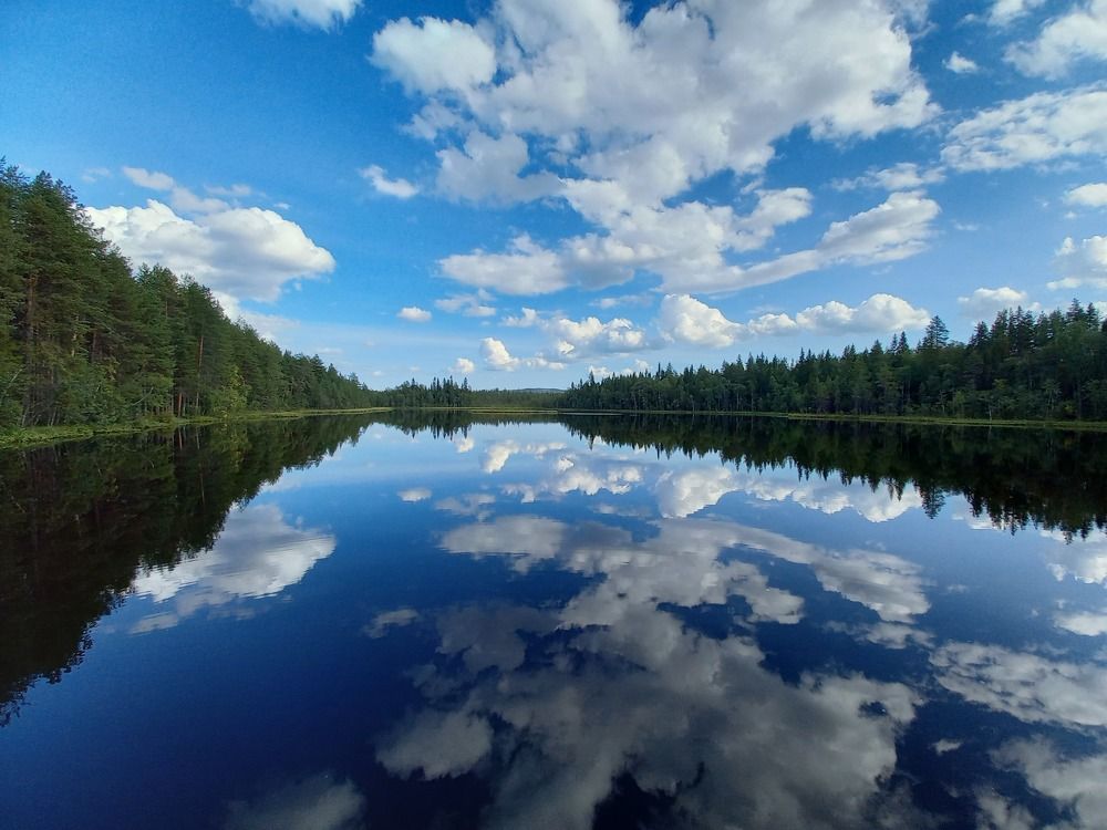 Photograph by Anna Perevozchikova