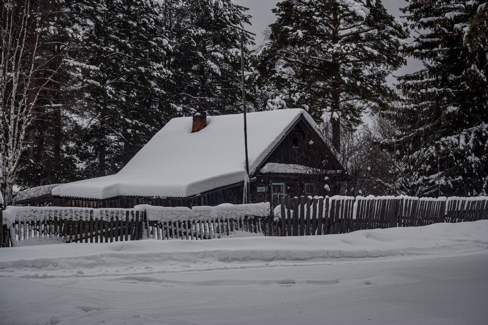 Photograph by Алексей Логинов