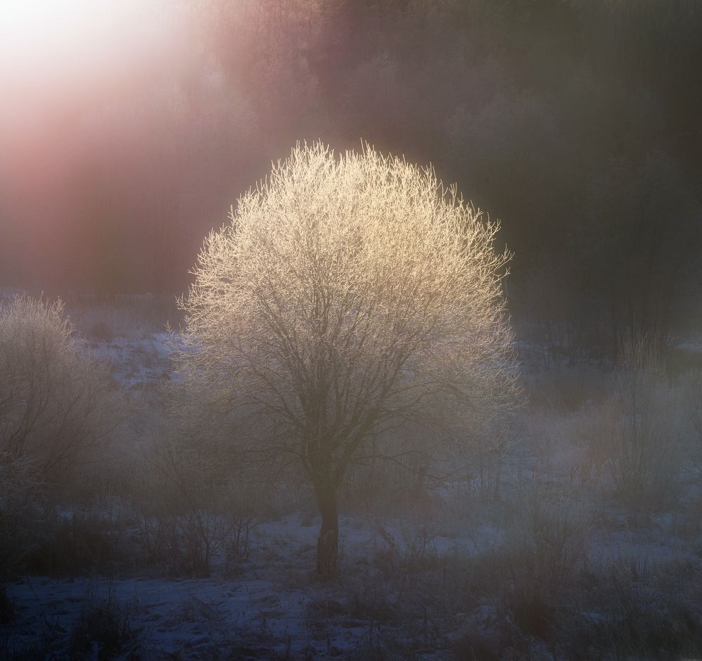 Photograph by Павел Ващенков
