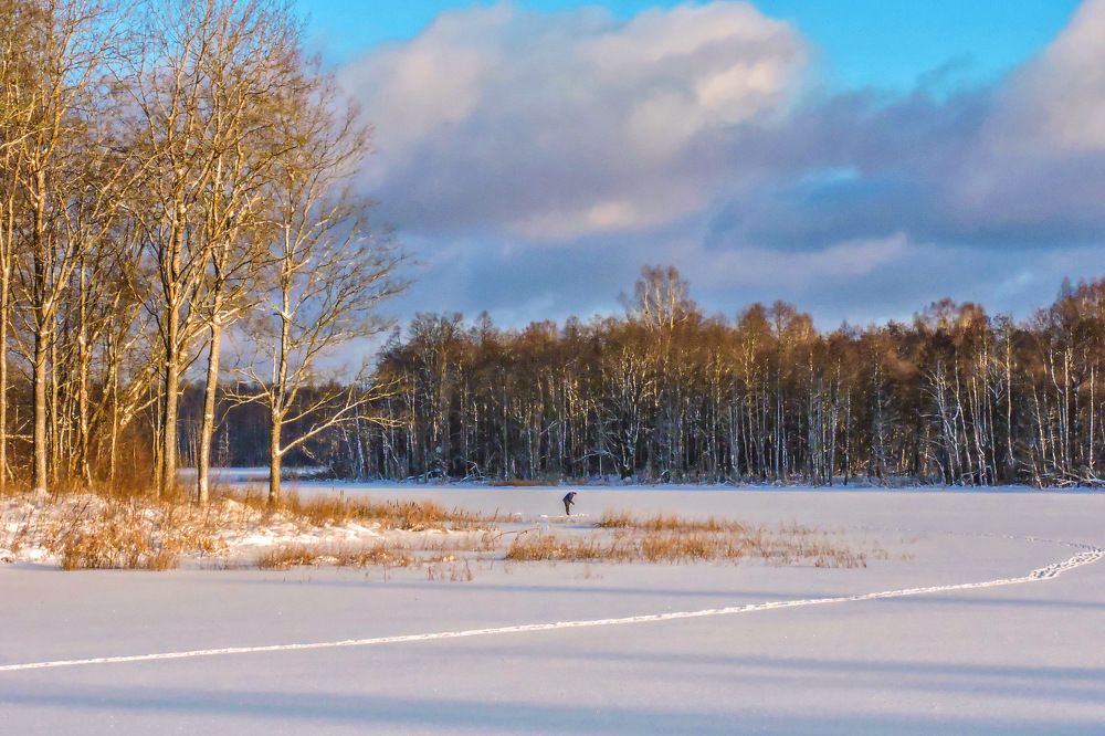 Photograph by Светлана Богомолова