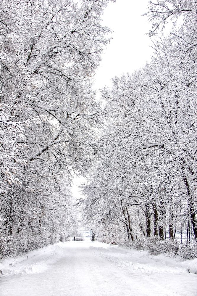 Photograph by Светлана Богомолова