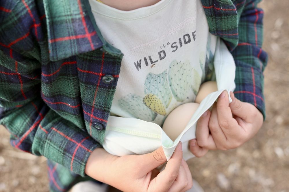 Photograph by Елена Секрет