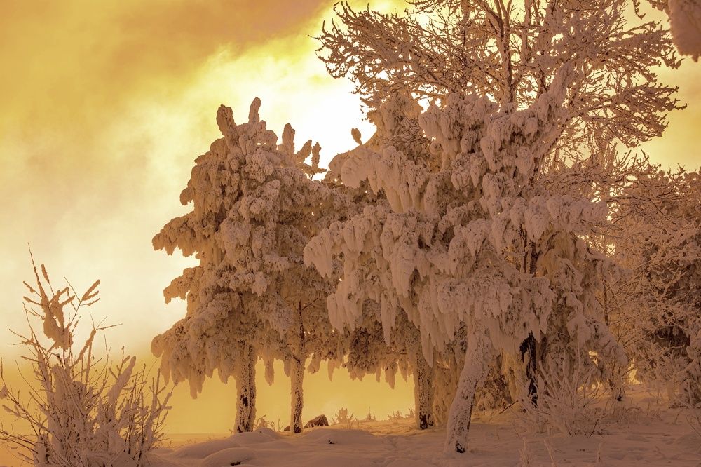 Photograph by Алексей Егоров