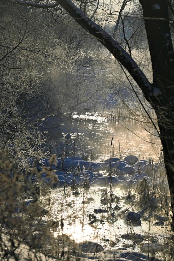 Фотография автора IRINA FILIPPOVA