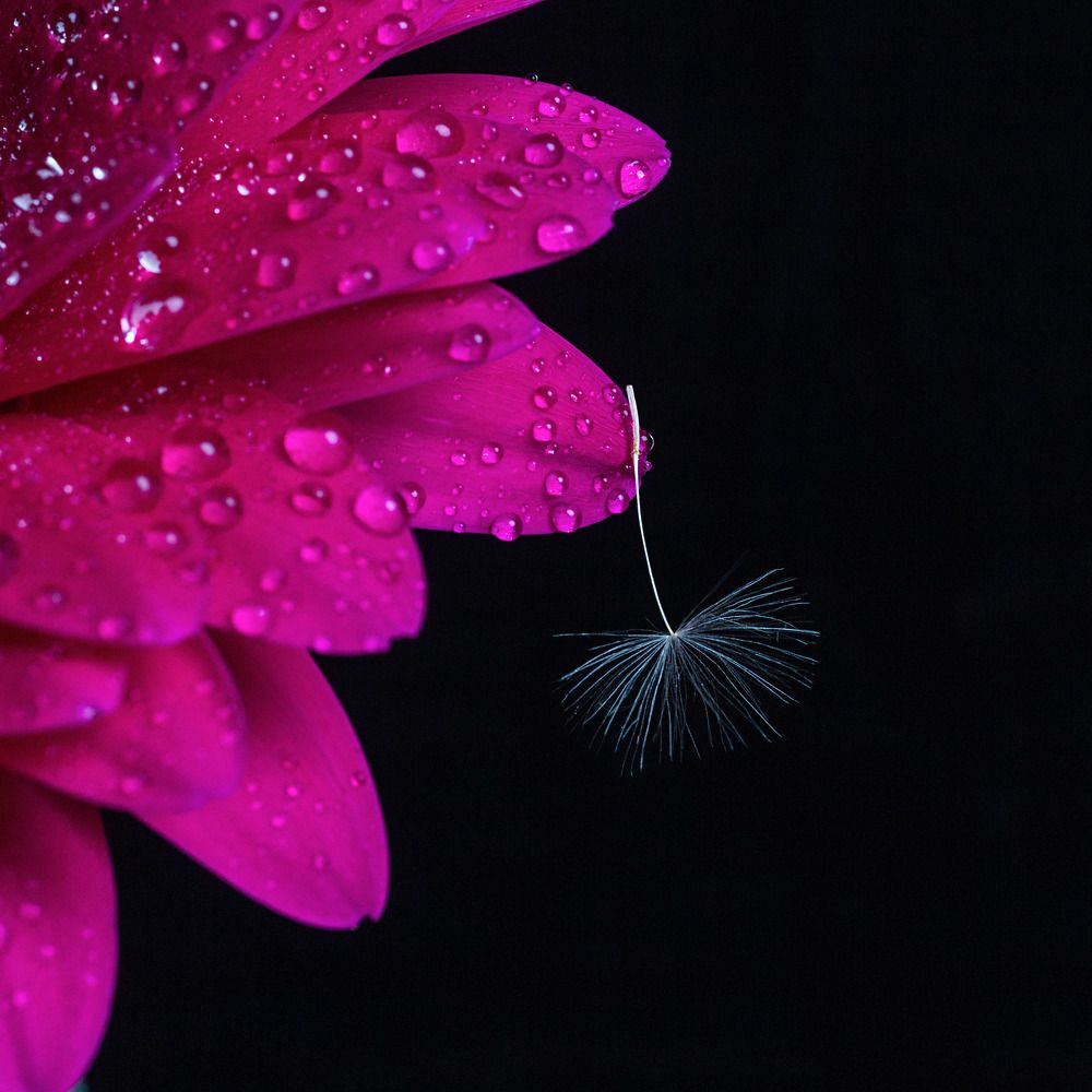 Фотография автора Наталья Василькова