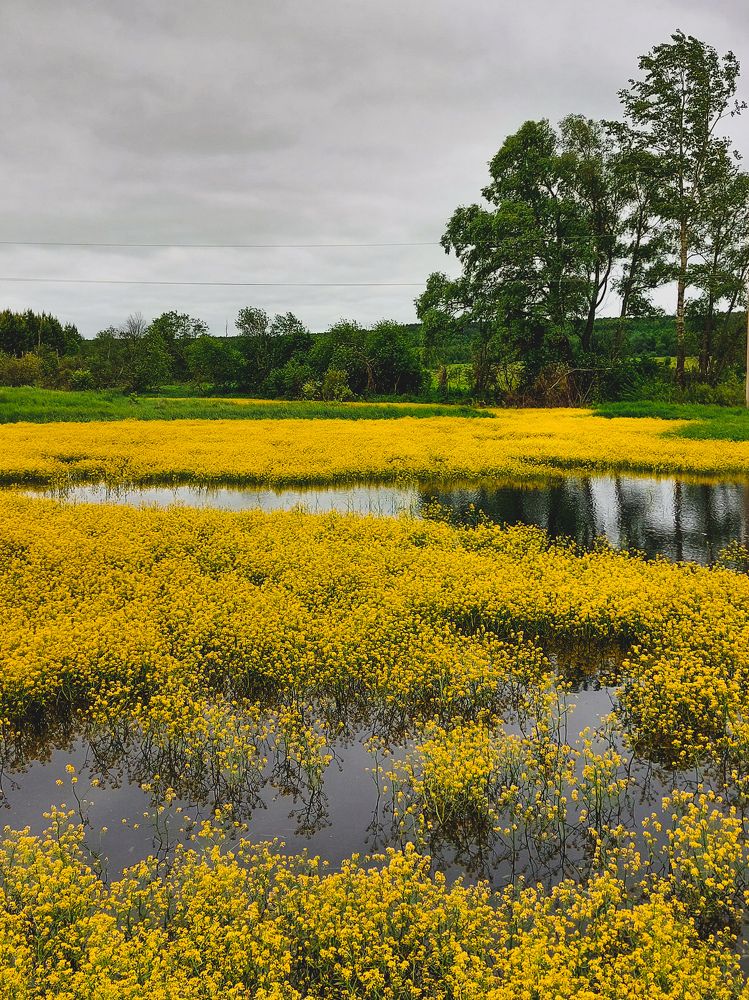 Photograph by Зульфия Вакилова