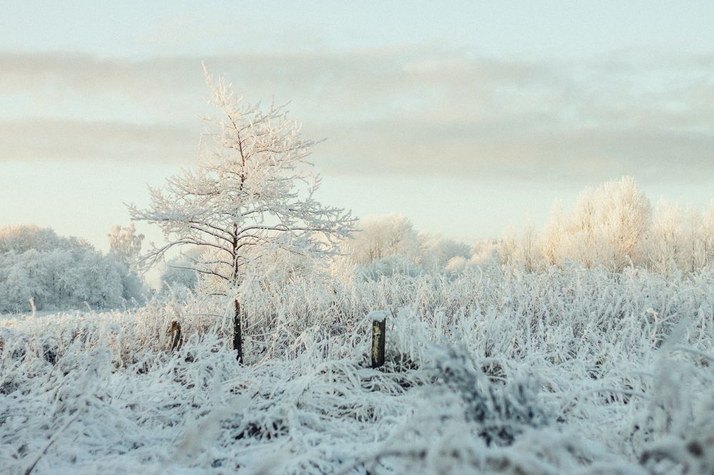 Photograph by Елена Мазурик