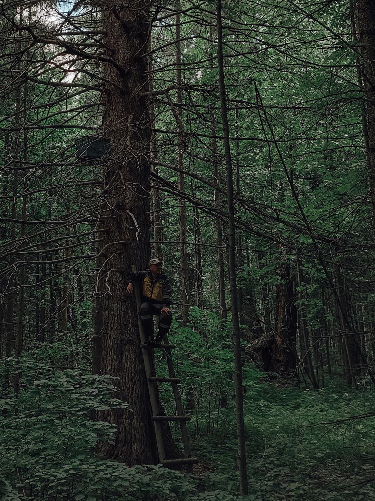 Photograph by Зульфия Вакилова