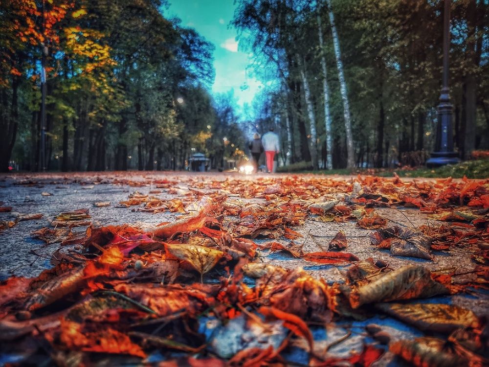 Photograph by Георгий Сергеев