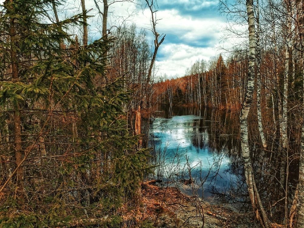 Photograph by Георгий Сергеев