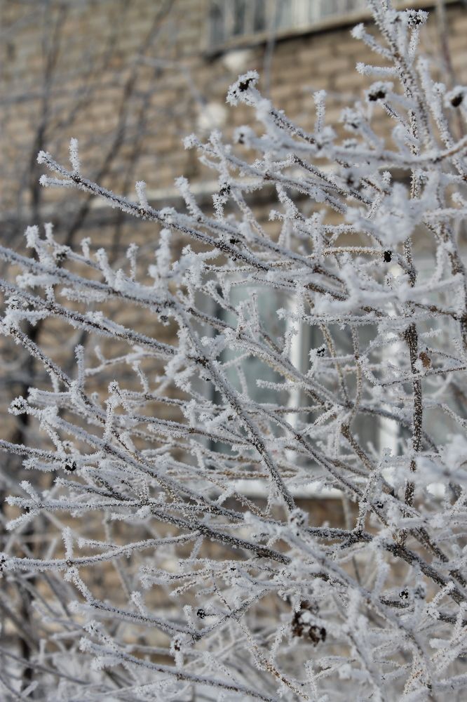 Photograph by Екатерина Хозяшева