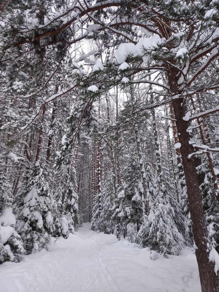 Photograph by Екатерина Хозяшева