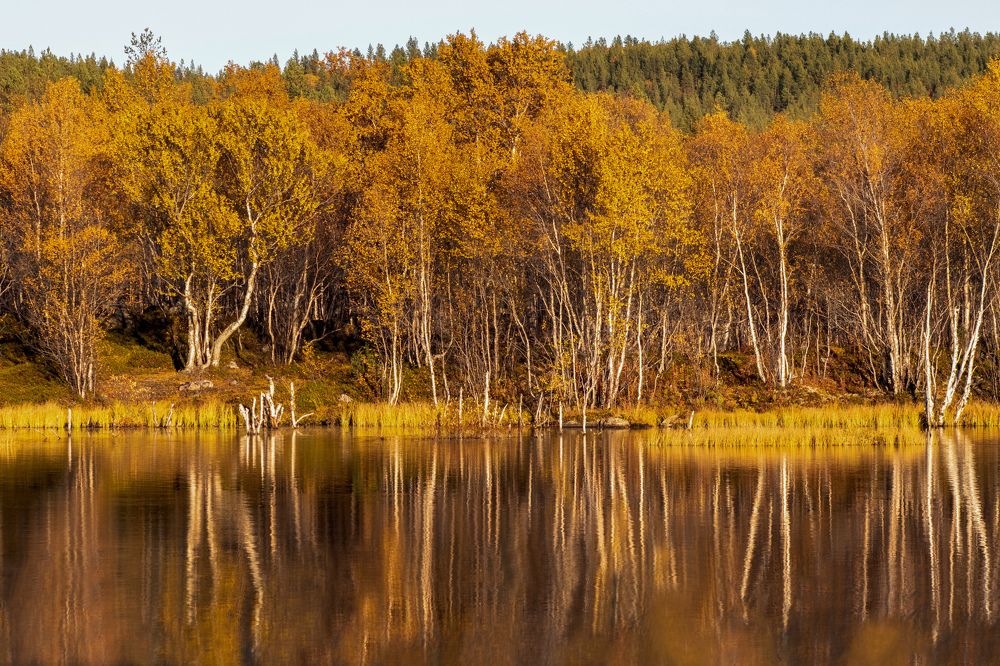 Photograph by Светлана Лебедева