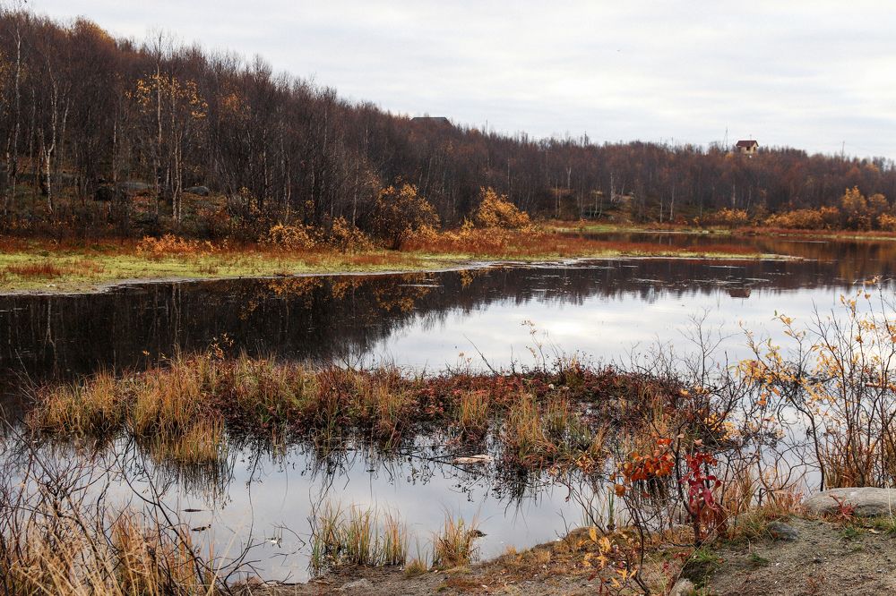 Photograph by Светлана Лебедева