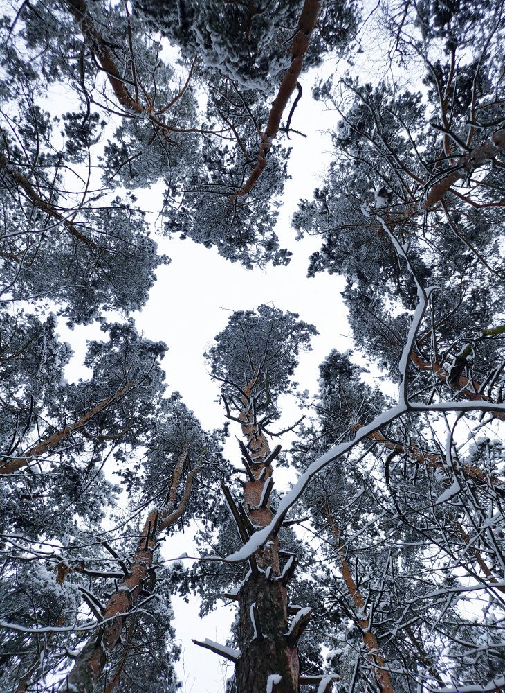 Photograph by Ева Мельникова
