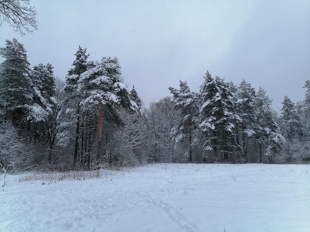 Photograph by Анжелика