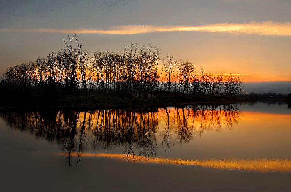 Photograph by 
