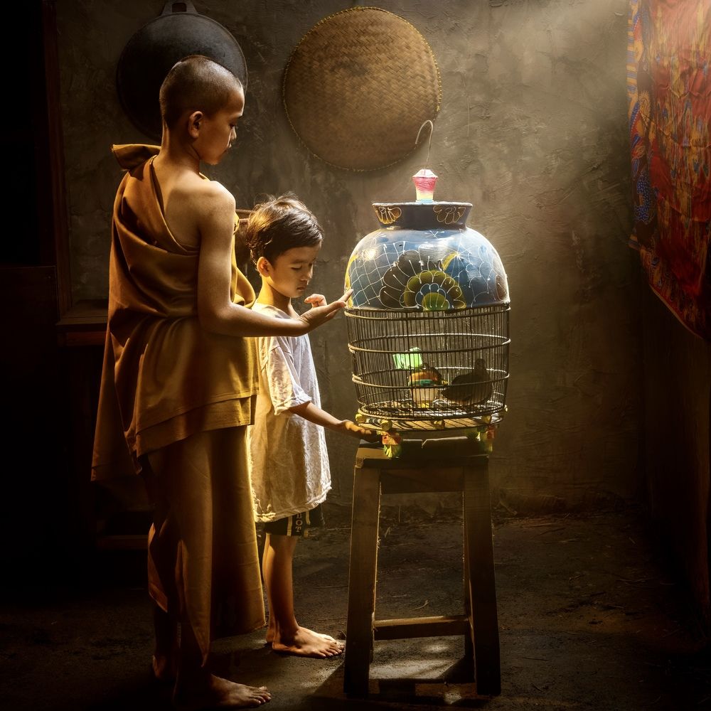 Фотография автора Ross McGree