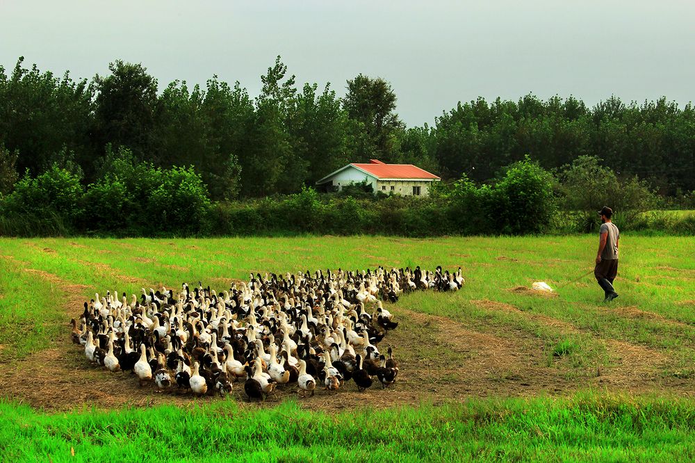Photograph by 
