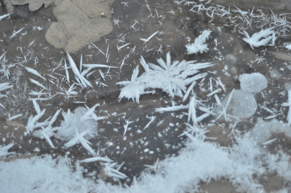 Photograph by Роман Туркин