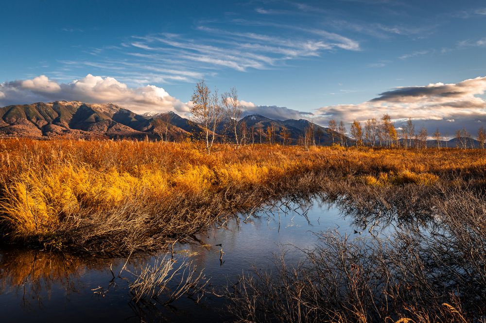 Photograph by Евгений Житников