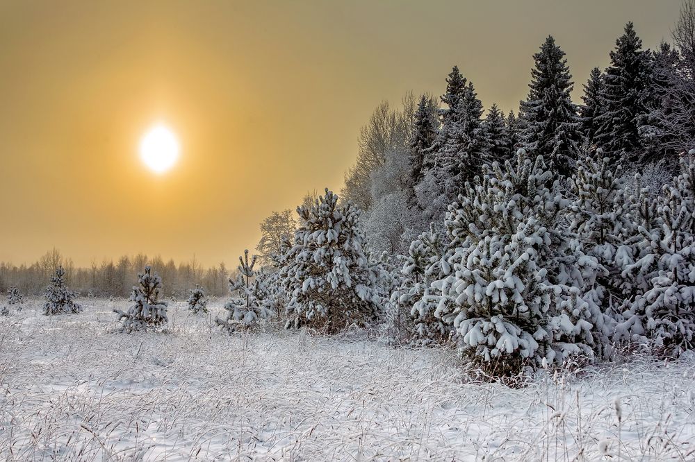 Photograph by Клясюк Галина