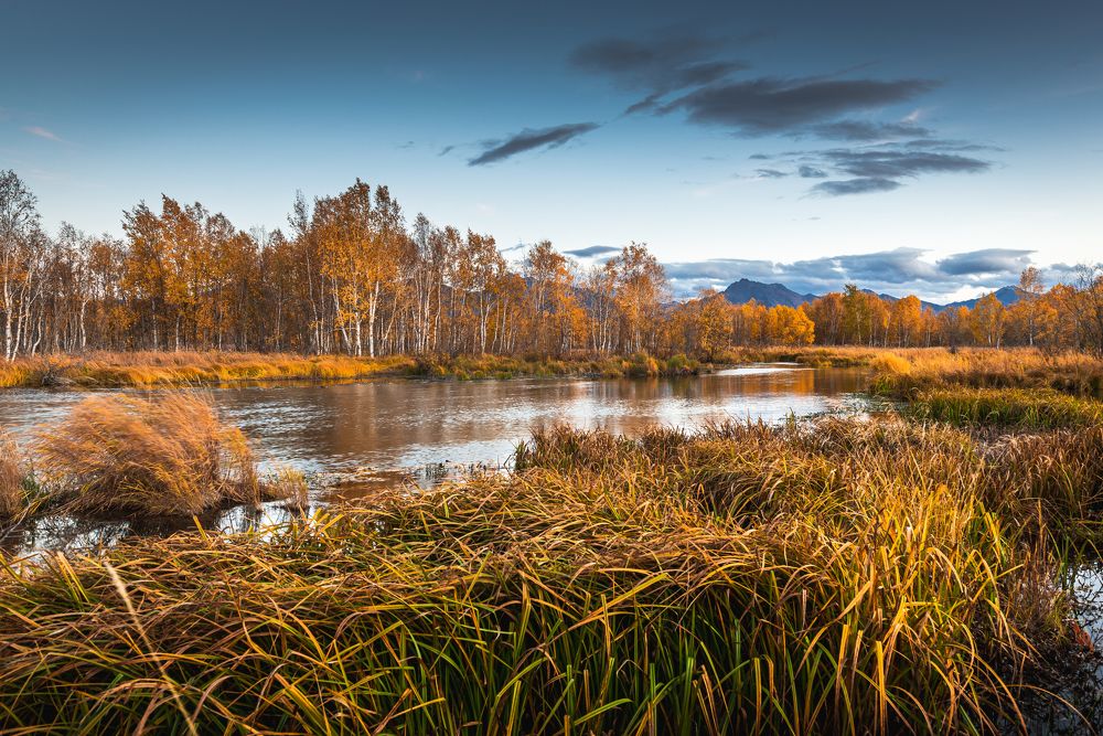 Photograph by Евгений Житников