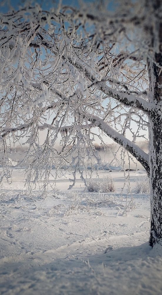 Photograph by Буланцев Ольга Борисовна