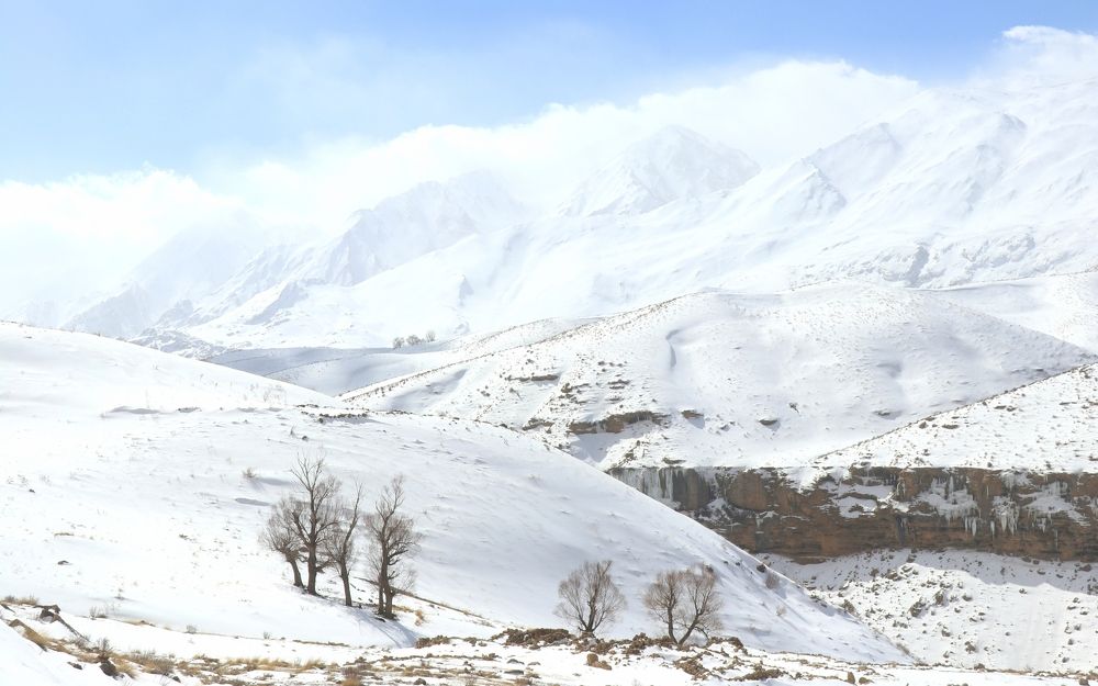 Photograph by Fatemeh Davari